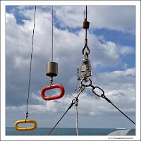 IMG_20260513_114601