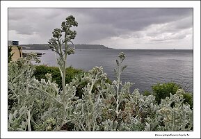 IMG_20260514_143231