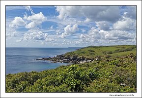 IMG_20260515_121108