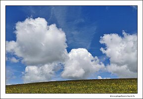 IMG_20260515_121138