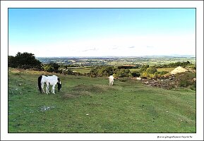 IMG_20260515_183525