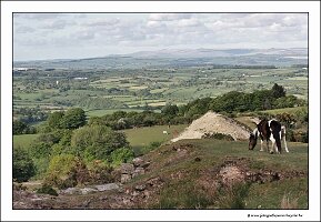 IMG_20260515_183557