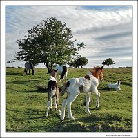IMG_20260515_185755