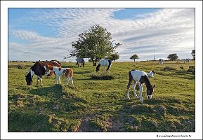 IMG_20260515_185810