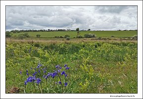 IMG_20260516_144453