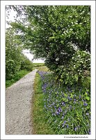 IMG_20260516_151517