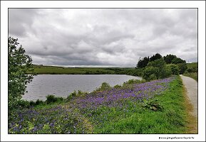 IMG_20260516_151613