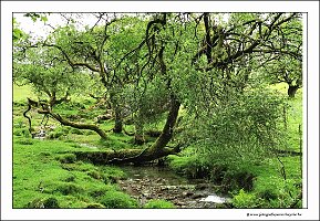 IMG_20260516_152059