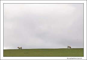 IMG_20260516_152155