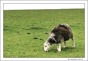 IMG_20260516_153055