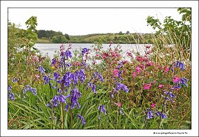 IMG_20260516_155654