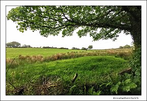 IMG_20260516_163501
