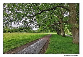 IMG_20260518_125814