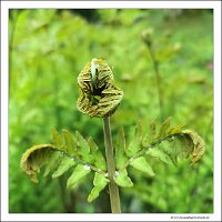 IMG_20260518_131204