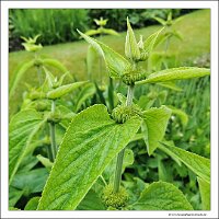 IMG_20260518_131539