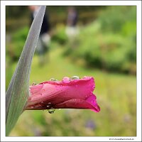 IMG_20260518_131817