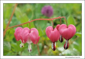 IMG_20260518_132009