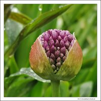 IMG_20260518_132706