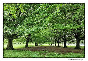 IMG_20260518_160631