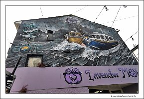 IMG_20260519_122225