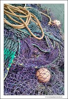 IMG_20260519_125232