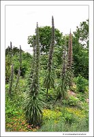 IMG_20260519_133141