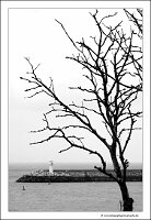 IMG_20260519_134450