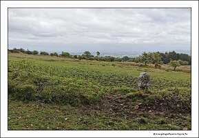IMG_20260520_131939