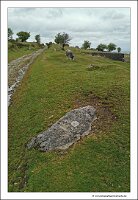 IMG_20260520_132205
