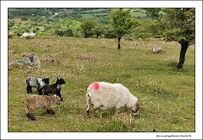 IMG_20260520_133021