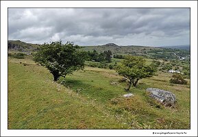 IMG_20260520_133206