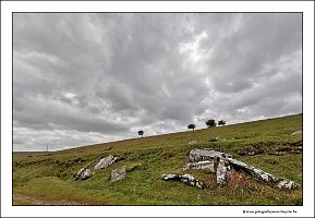 IMG_20260520_133429
