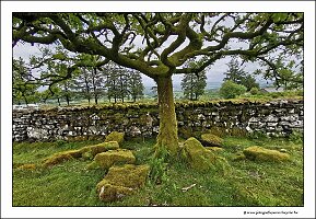 IMG_20260520_140625