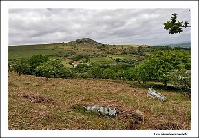 IMG_20260520_141048