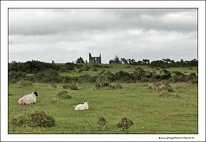 IMG_20260520_154621