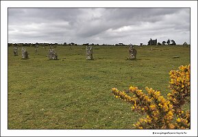IMG_20260520_155035