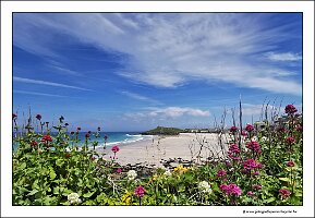 IMG_20260521_134039