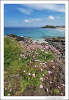 IMG_20260521_134527