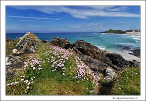 IMG_20260521_135045