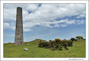 IMG_20260522_142734