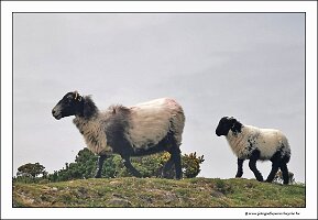 IMG_20260522_143251
