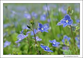 IMG_20260522_143645