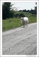 IMG_20260522_150256