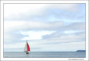 IMG_20260523_105542