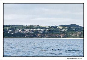 IMG_20260523_111049