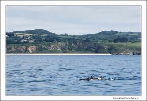 IMG_20260523_111152