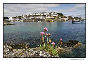 IMG_20260523_113634