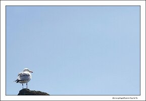 IMG_20260523_120125