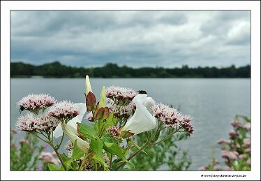 IMG_20260724_130054