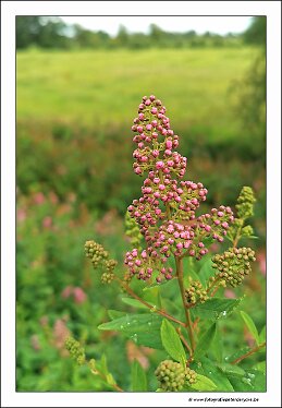 IMG_20260727_114114